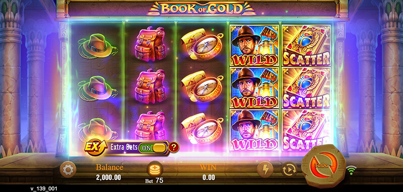 JILI Book Of Gold Slot - Extra Bets