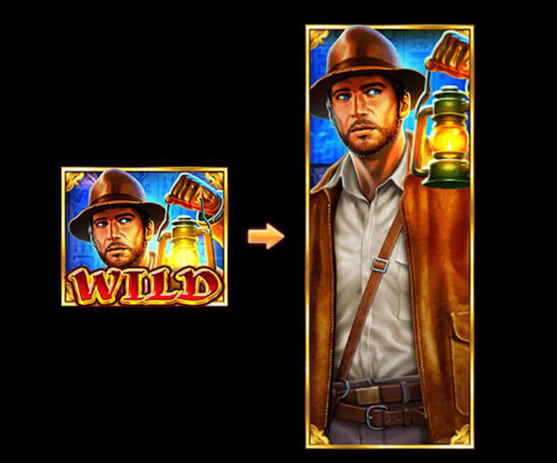 JILI Book Of Gold Slot - Wild Symbols