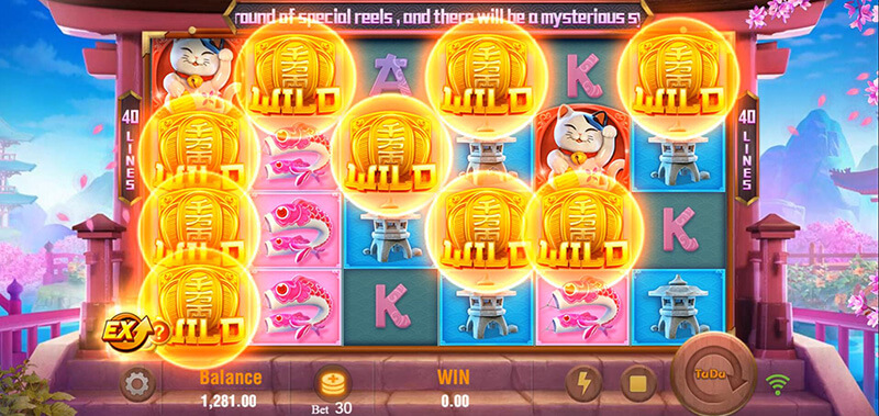 JILI Neko Fortune Slot - Mystery Symbol Transformed Into Wild Symbols