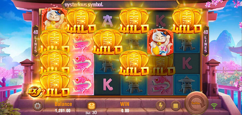 JILI Neko Fortune Slot - Wild Symbols Winning Combinations