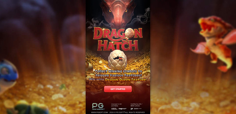 PG Dragon Hatch